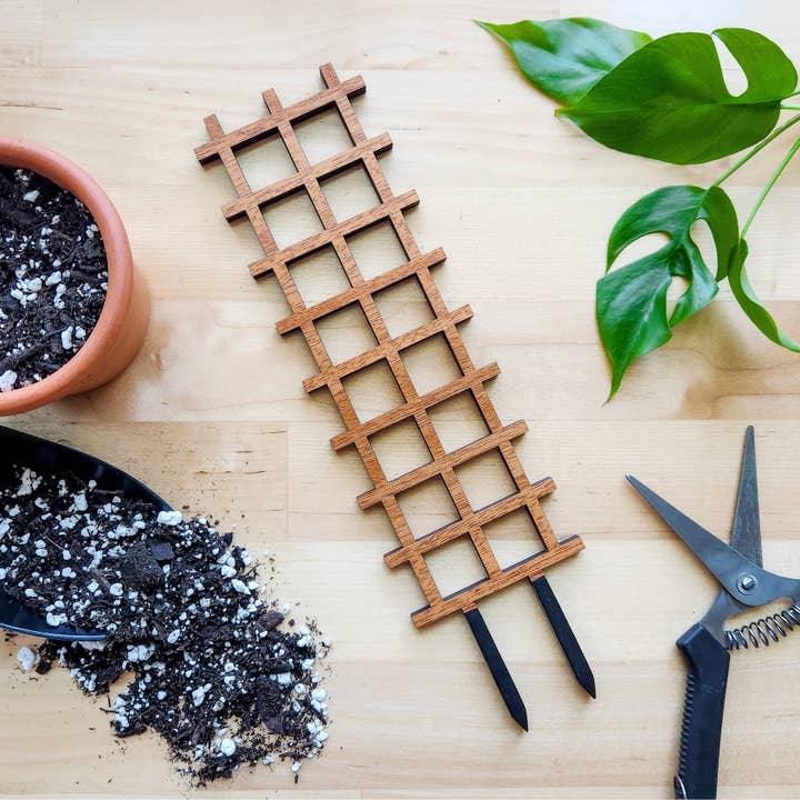 Leaf & Node - Wholesale Trellis - Ladder Indoor Wooden House Plant Trellis (2 Size Options)5