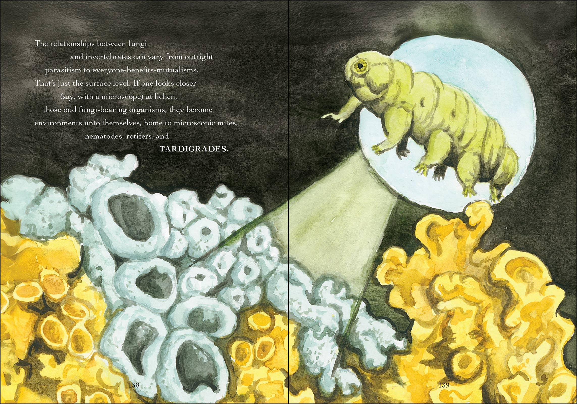 AdventureKEEN - Wholesale Nature & Outdoors - Wonder of Mushrooms8