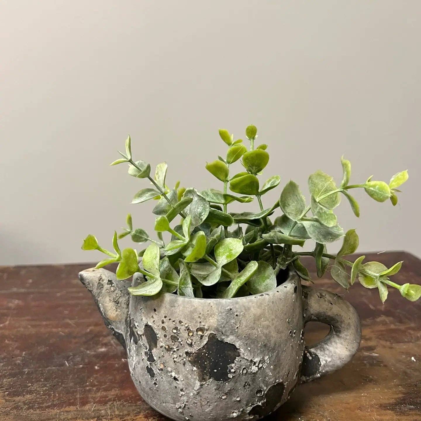 Vagabond Vintage - Wholesale Plant Pot - Cement Rustic Teapot Succulent Planter2