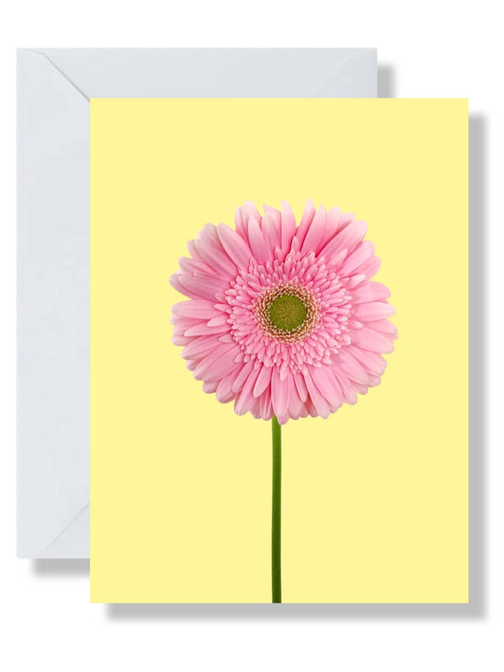 Gerber Daisy, Floral Photography, Color Block Blank Card for wholesale by Flora and Forest Jewellery