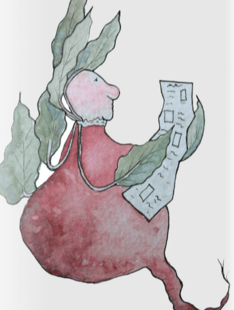 Sow True Seed - Wholesale Plant Seeds - Beet Seeds - Detroit Dark Red1