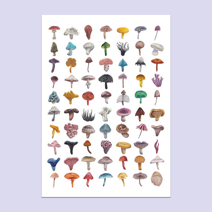 Mushroom A3 Print for wholesale by Lucy Locks Art