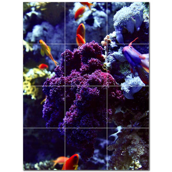 Sea Life keramische tegelmuurschildering PT500406 voor wholesale door Picture-Tiles.com