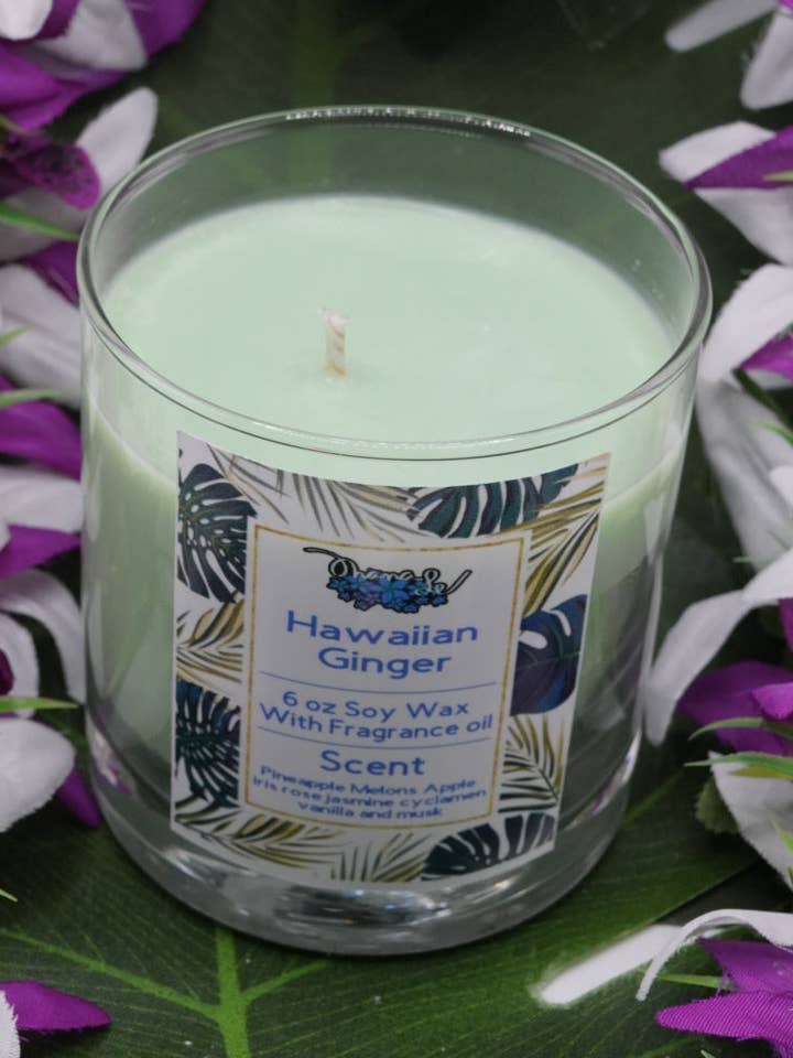 Bocal en verre à mèche de coton à mèche de soja au gingembre hawaïen pour la vente par Ohanale