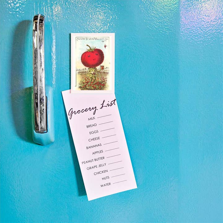 Found Image Press - Wholesale Magnet - Magnet FO-632 Monster Tomato on Legs1