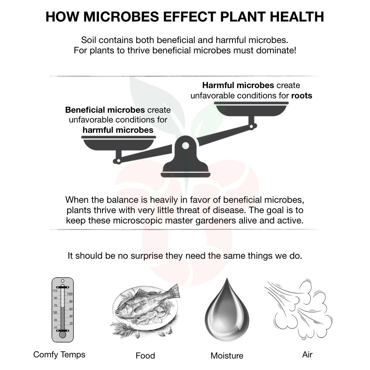 Soil Candy – Fertilizante por atacado – Forever Foreage - planta de casa/erva bio-nutriente solúvel em água3