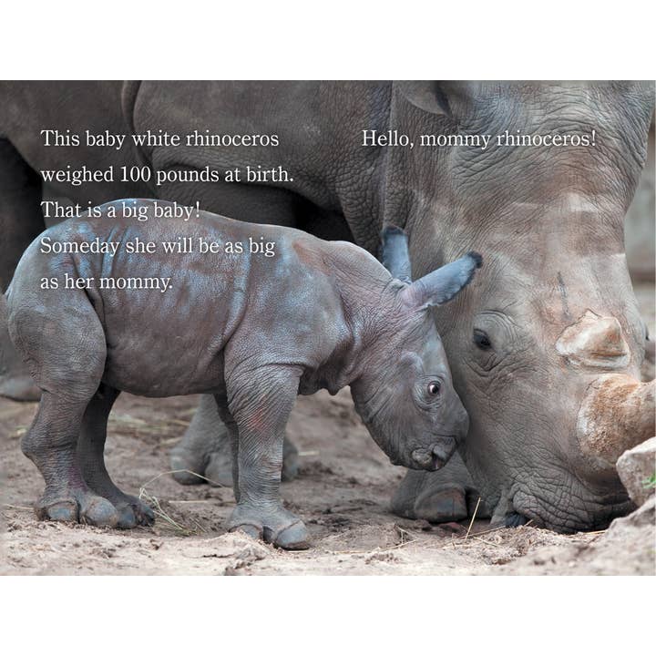 Simon & Schuster - Wholesale Book - Kids - Hello, Mommy ZooBorns! by Andrew Bleiman