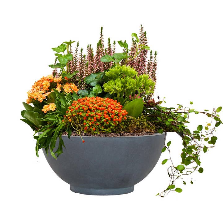 Idealist Lite Fibrestone Planters – wholesale Plant pot – IDEALIST Dish Style Smooth Bowl Outdoor Planter