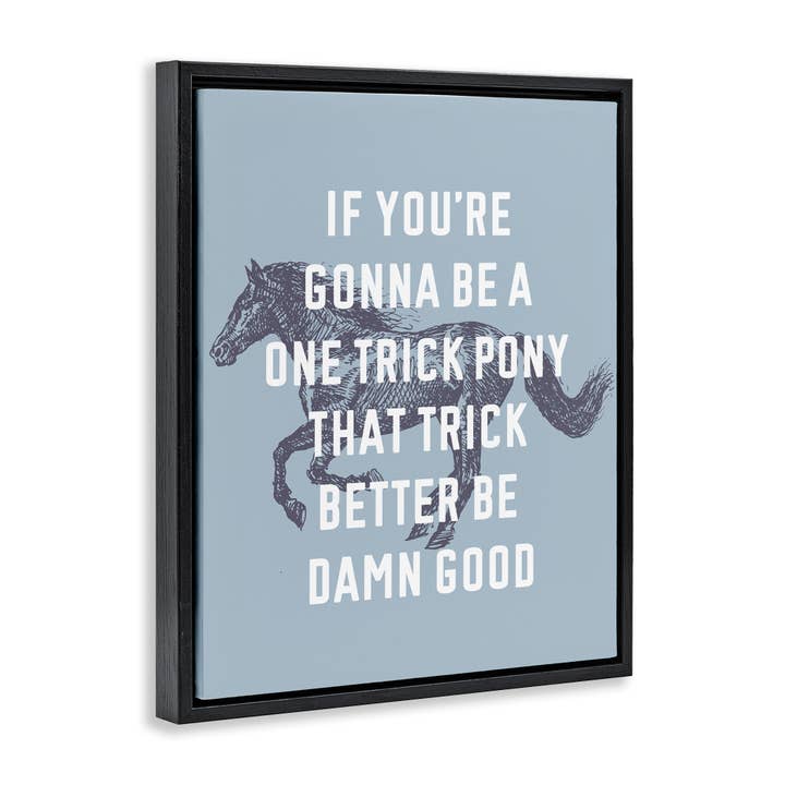 Stupell Industries – wholesale Wall decor – Kids & Baby – One Trick Pony Phrase Floater Framed Art2