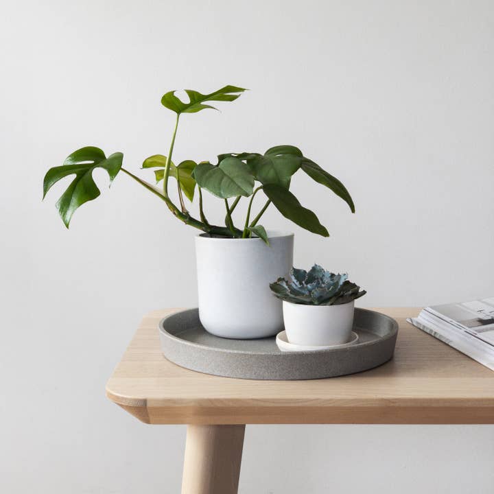 Kanso Designs - Vente Plateaux décoratifs - Plateau décoratif en coque de blé de 11 po (gris)1