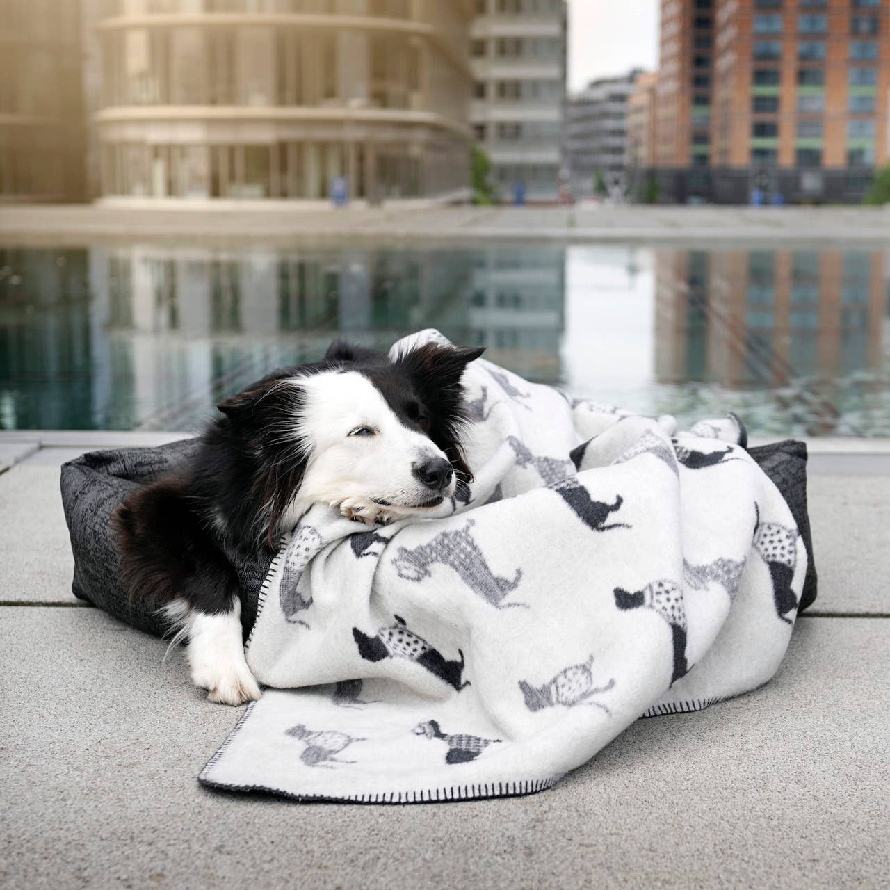 LABONI - Volentis GmbH - Venta al por mayor Edredón - Gatos y perros - TECKEL - MANTA DACHSHUND2