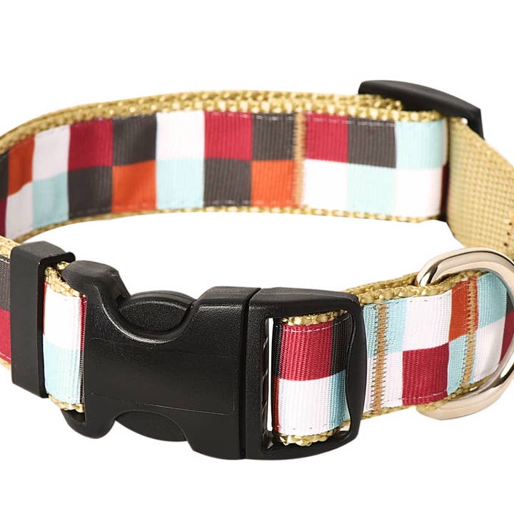 Paw Paws USA - Wholesale Pet Collar - Dog - Hula Hoop Dog Collar1