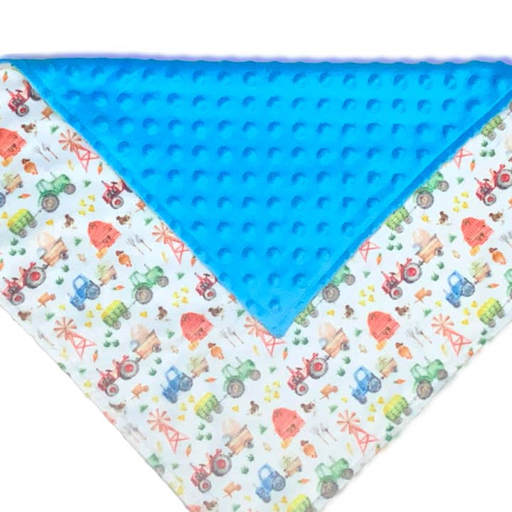 Springtime Farm Double Minky Lovey pour la vente par Little Bee Duds