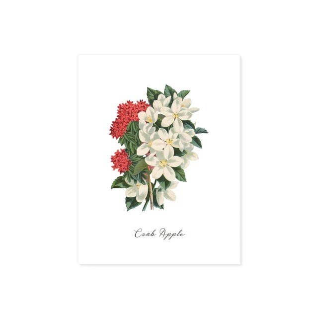 Mela di granchio per la vendita all'ingrosso da parte di Blue Twist & Co