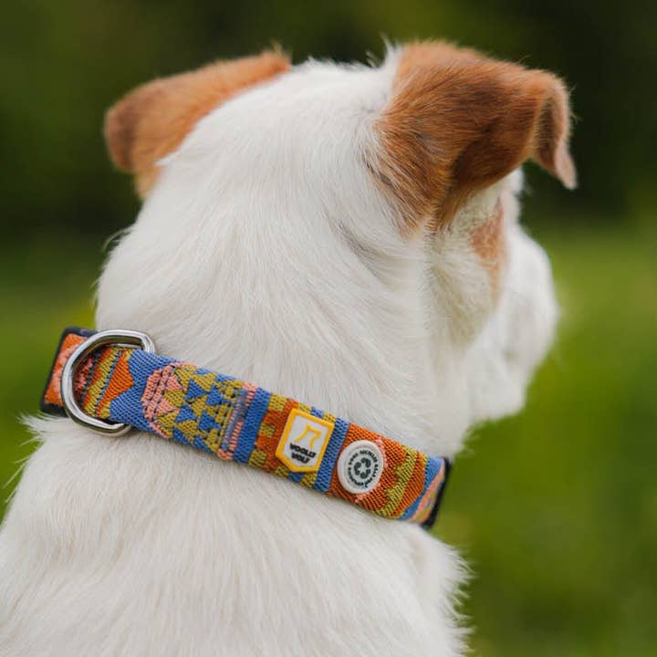 Woolly Wolf – Großhandel Haustierhalsband – Hund – Nightless Night Hundehalsband aus recyceltem Material (RPET)