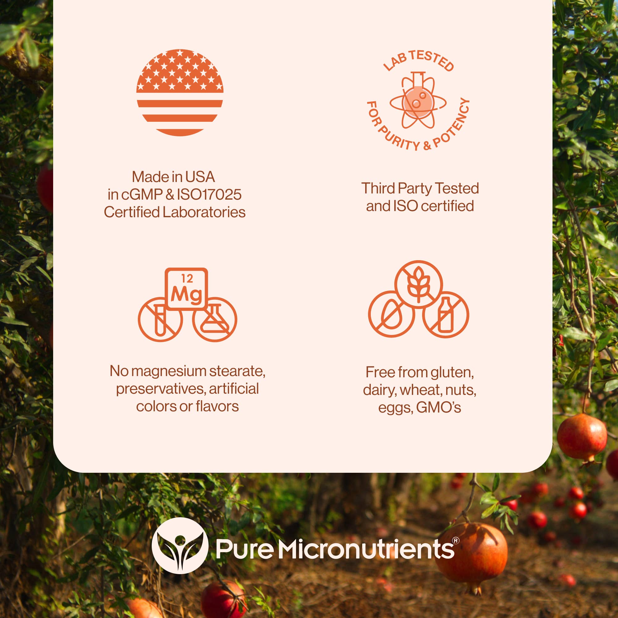 Pure Micronutrients - Wholesale Oral Supplement/Vitamin - Pure Zinc2