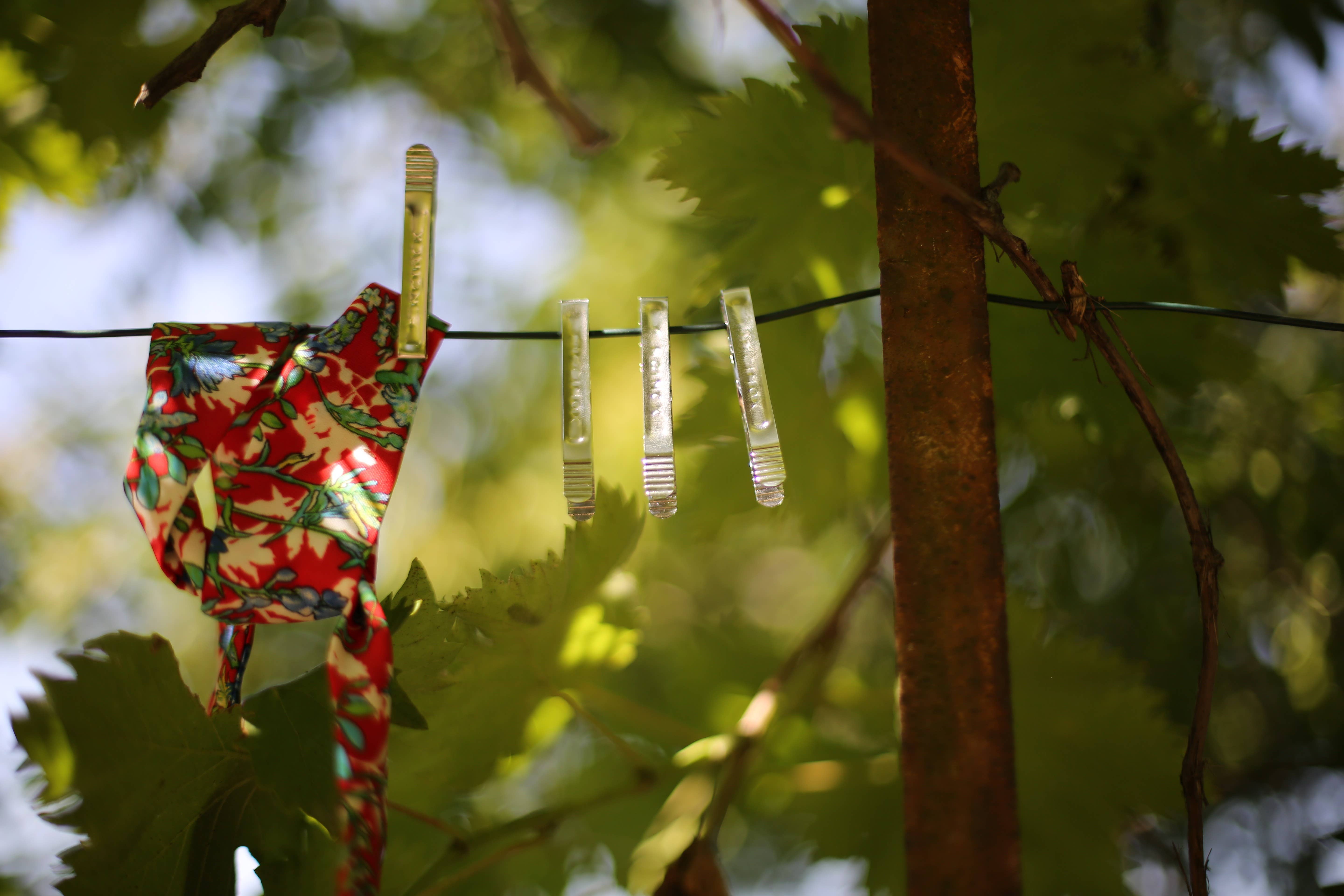 Pincinox - Vente Pinces à linge - Pinces à linge Pincinox pochette de 202