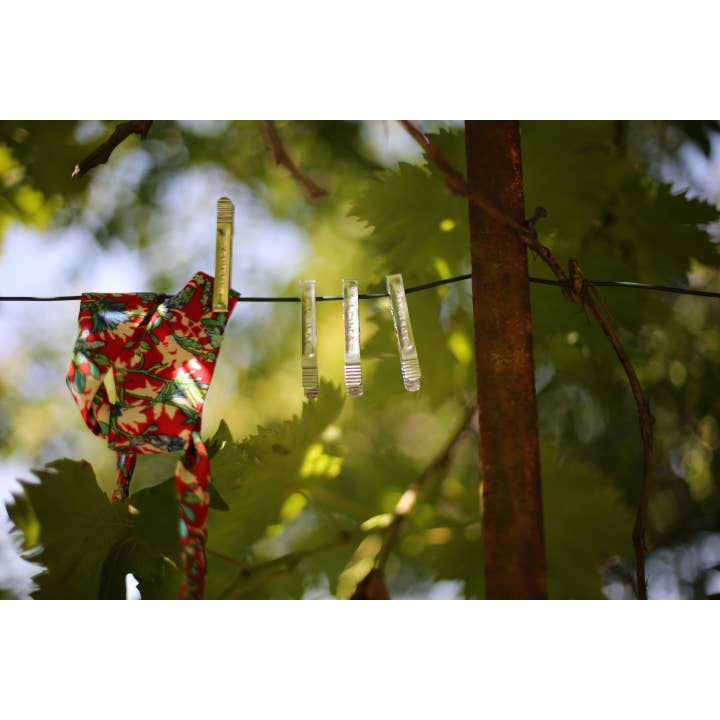 Pincinox – Großhandel Kleiderklammern – Pincinox Wäscheklammern Beutel mit 20 Stück2