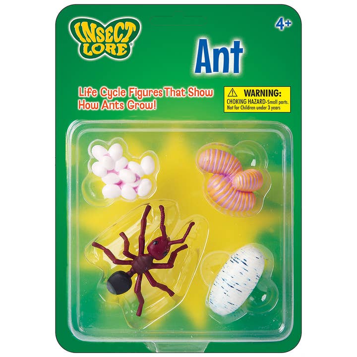 Life Cycle Figurines - Ant for wholesale by Insect Lore