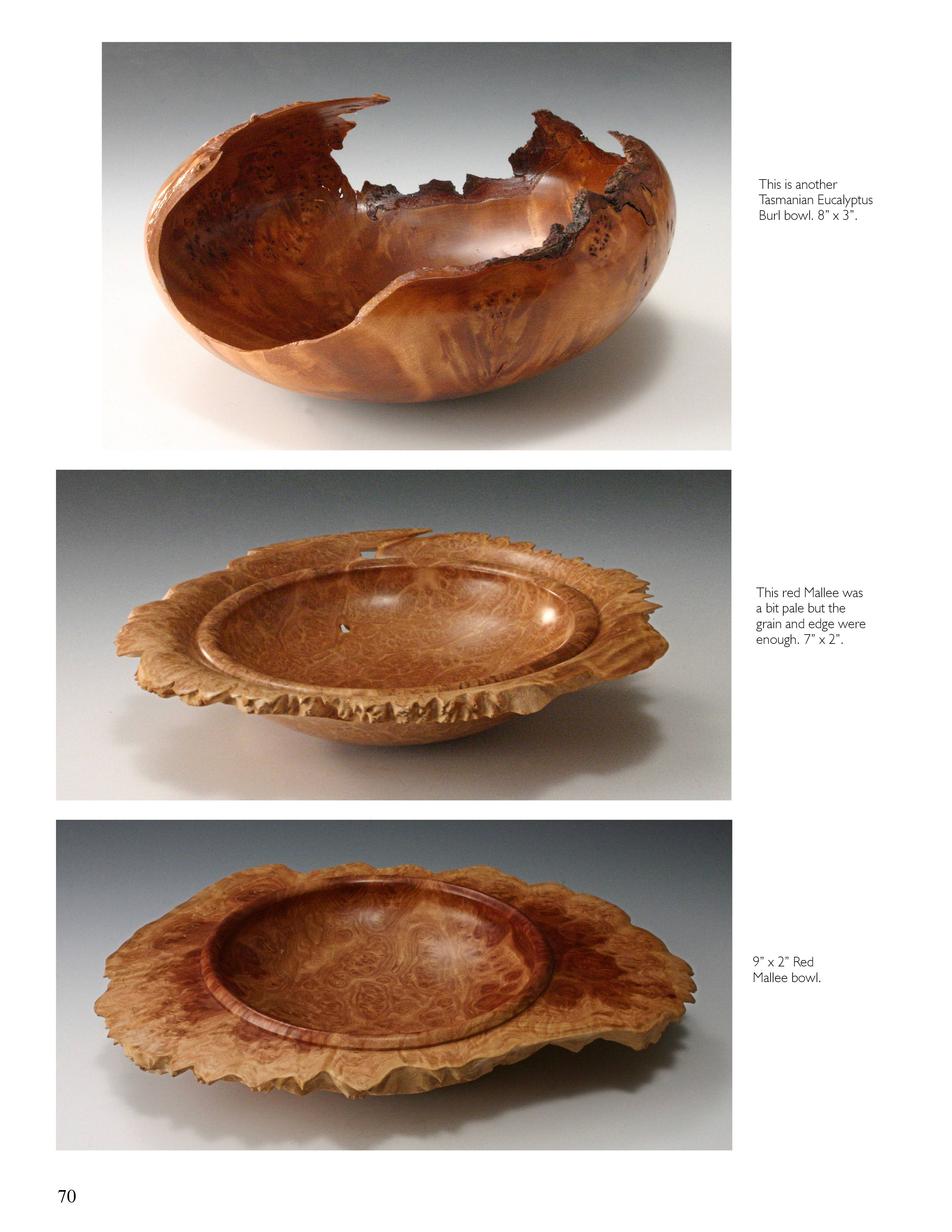 Schiffer Publishing - Wholesale Crafts, Hobbies & DIY - Turning Natural Edge Bowls3