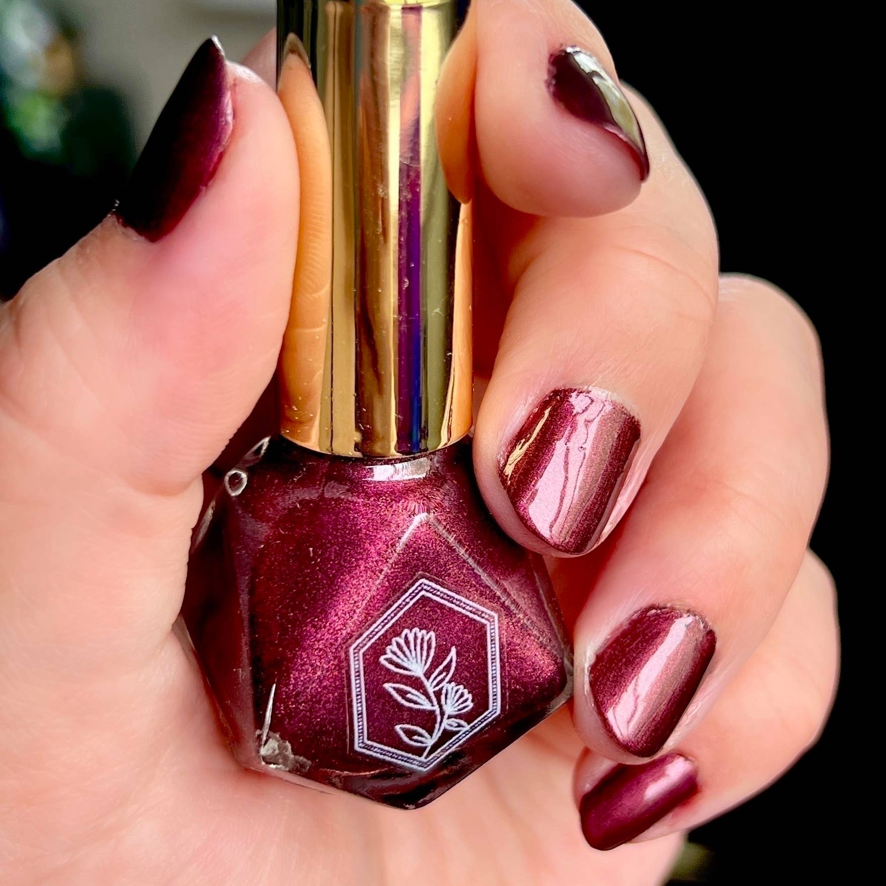 Palafoxia Beauty - Wholesale Nail Polish - Unapologetic - Nail Polish 3