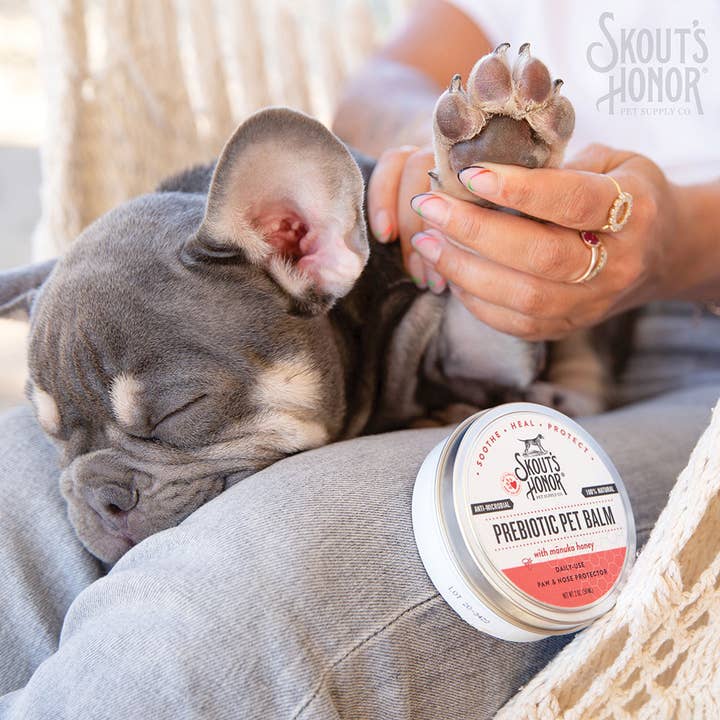 Pet Palette Distribution - Wholesale Pet Balm - Dog - Skout's Honor Prebiotic Pet Balm 2 oz3