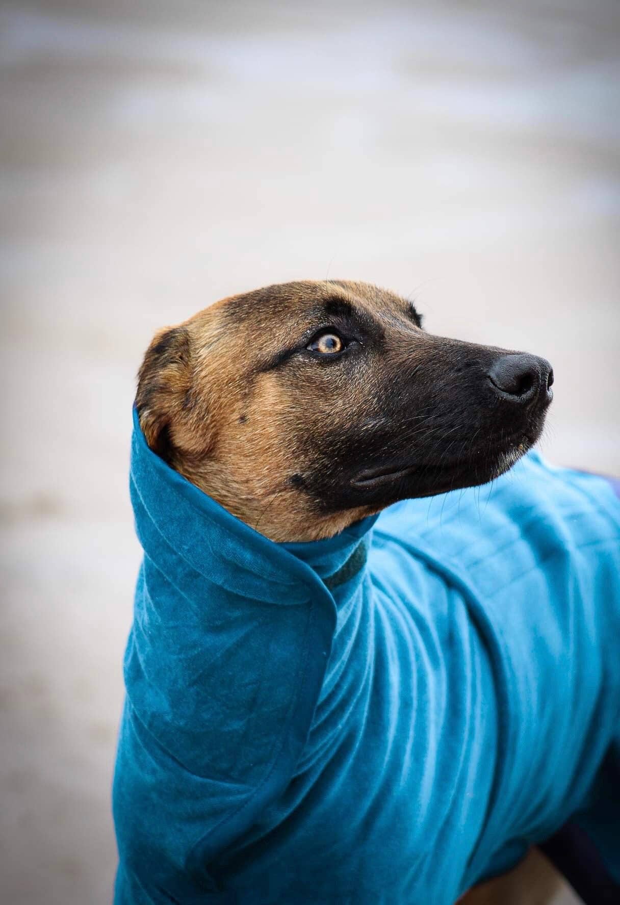 Jaegr l DOGWEAR – wholesale Pet towel –Dog – Jaegr Drying Towel0