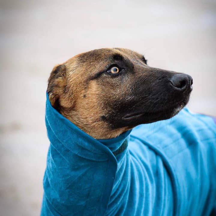 Jaegr l DOGWEAR – wholesale Pet towel –Dog – Jaegr Drying Towel