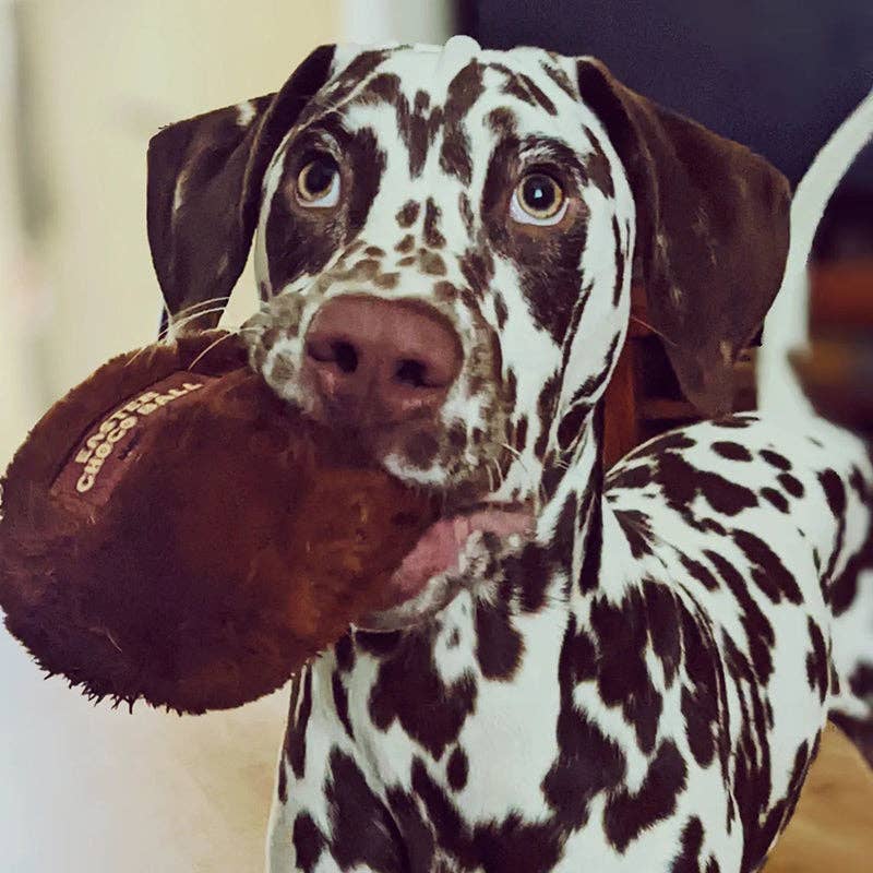 WufWuf – Großhandel Plüschtier – Hund – WufWuf Oster Choco Ball Plüsch-Hundespielzeug1