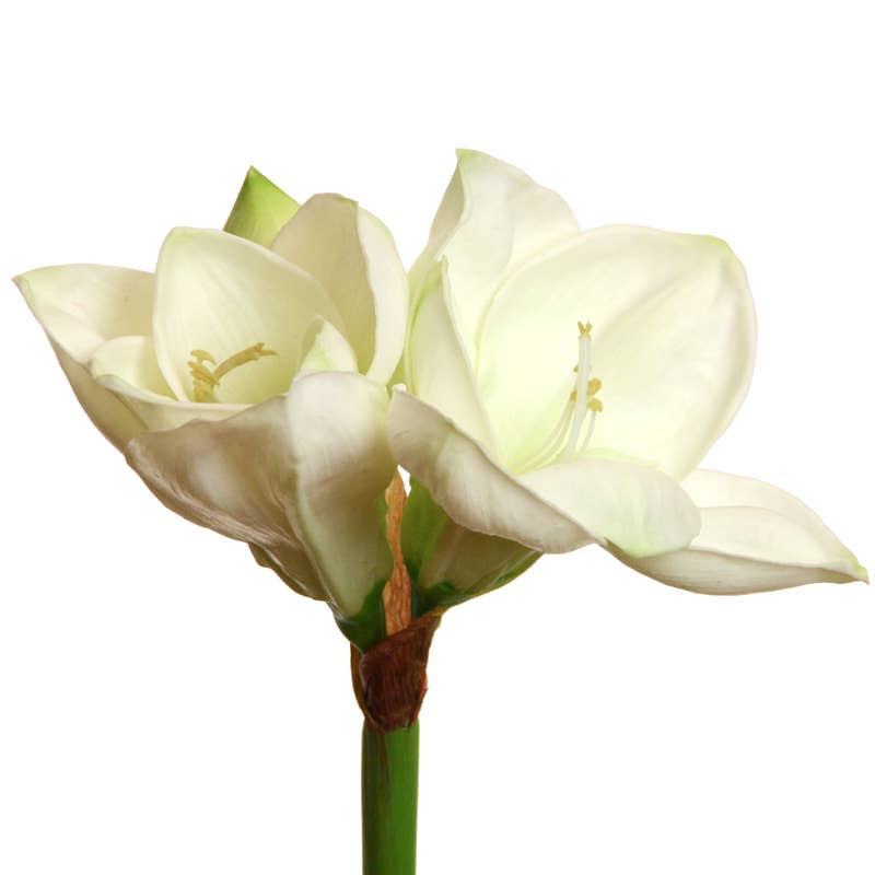 Floratexx - Vente Fleurs artificielles - Amaryllis « super touch » crème 58 cm0