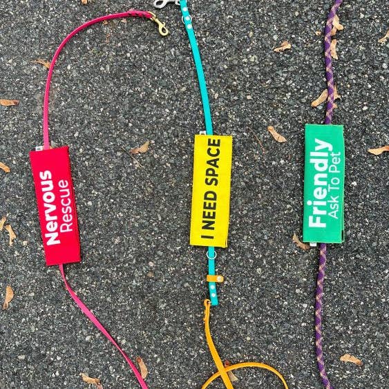 Best Friend Supplies Co - Wholesale Pet Leash - Dog - Nervous - Ask To Pet2