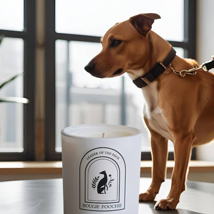 Bougie Poochie LLC - Wholesale Jar/Filled Candle - Leader of the Pack Candle - Non-Toxic Pet Home Candles1