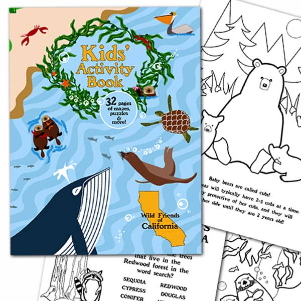 Kid's Activity Book, Wild Friends of California for wholesale by SF Mercantile