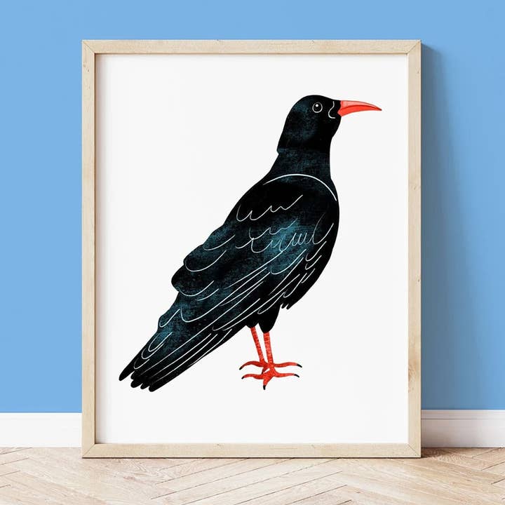 Cornish Chough Coastal Wall Art Print for wholesale by Sarah Whittle Illustration