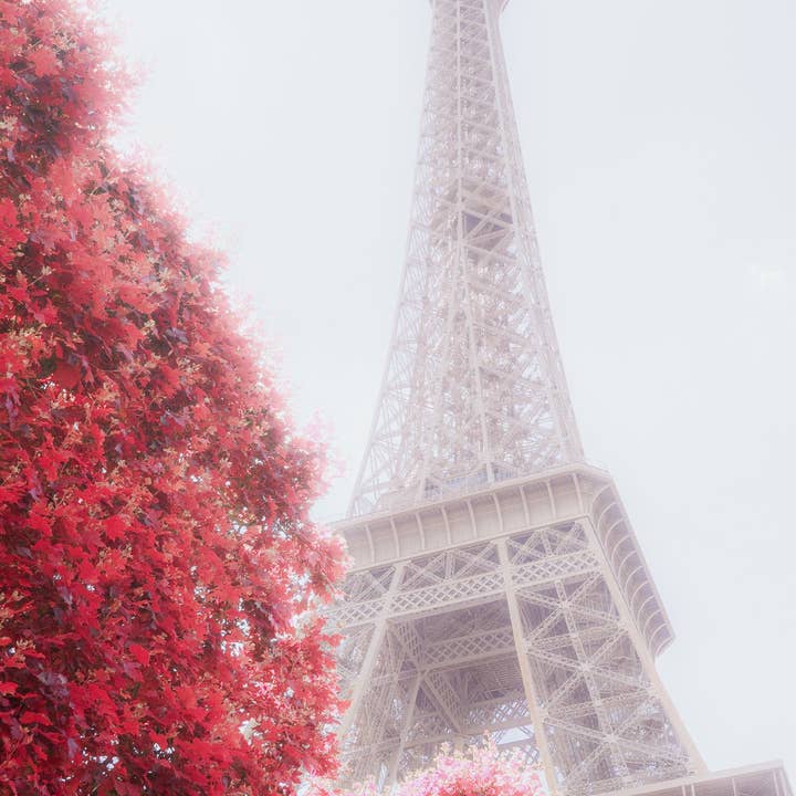 Eiffel Tower for wholesale by Tommy's Print Shop