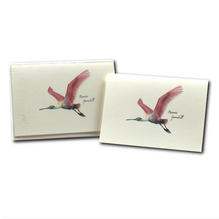Earth Sky + Water - Wholesale Stationery/Notecard Set - Roseate Spoonbill2