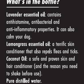 WE Made - Wholesale Pet Deodorizing Spray - WE Made Stinky Dog Spray2