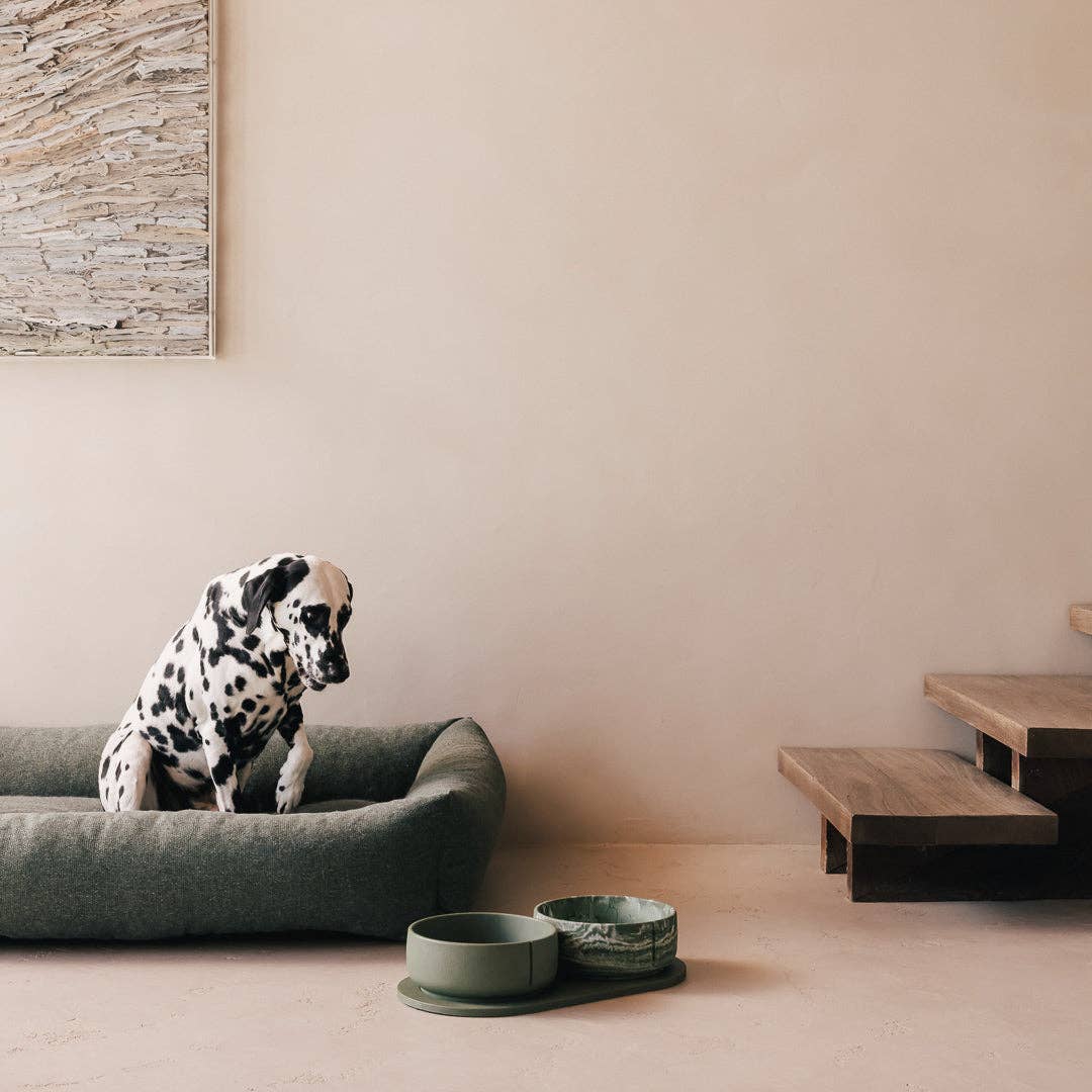 PINO – Engroshandel Kæledyrsskål – Hund – Klassisk skål43