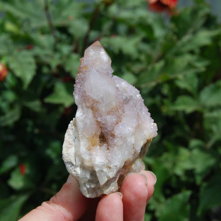 Caspar Curiosities - Wholesale Spiritual Stone/Crystal - 3in 150g Amethyst Spirit Quartz Crystal Cluster, Medium Spirit Quartz, South Africa 2