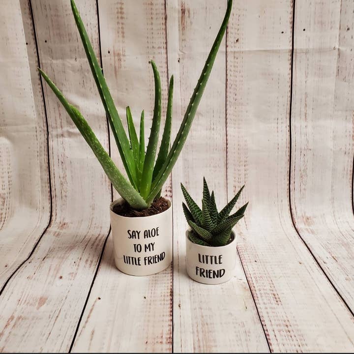 Punny Plant Pots Little Friend Set of 2 for wholesale by Blooms n rooms