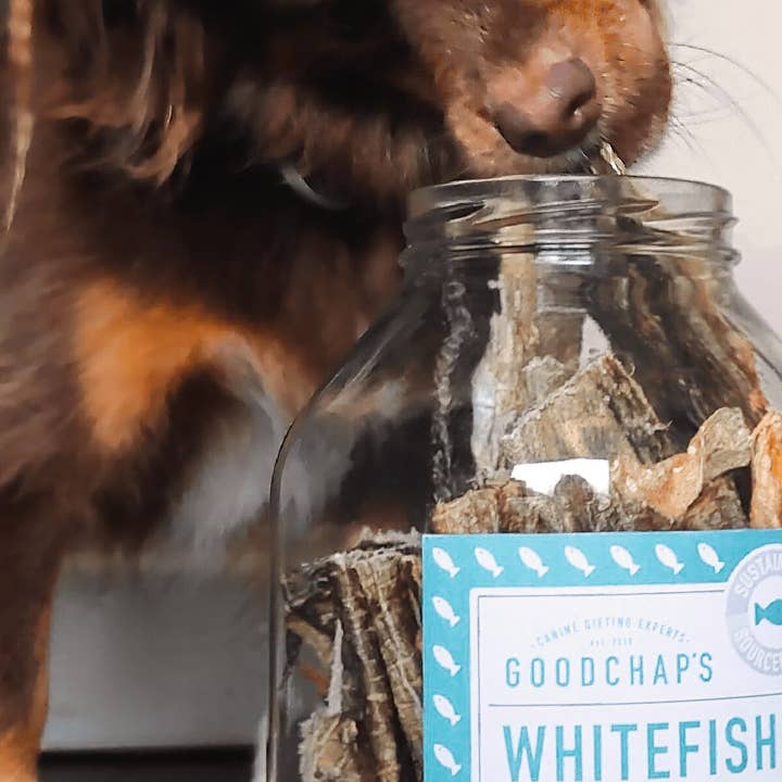 Goodchap's - Vendita all'ingrosso Snack - Cani - Ricarica in Barattolo | Pesce Bianco Essiccato4