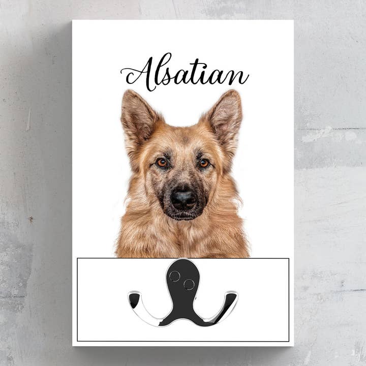 P7006 - Alsace Gruff Pawtraits Hund Fotografering Trykt Woo for engroshandel hos Vivid Squid Wholesale