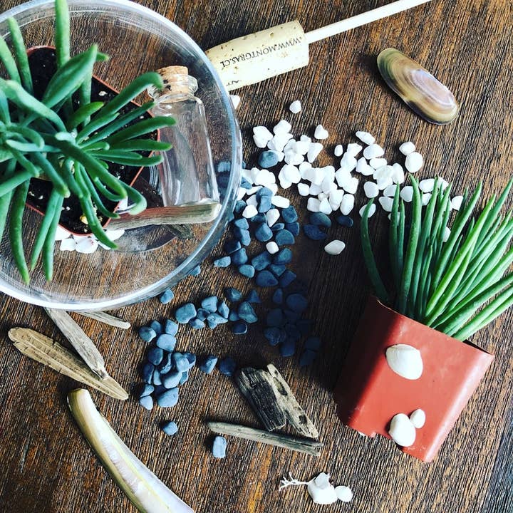 Living Arrangement - Wholesale DIY Craft Kit - Succulent Terrarium Kit Complete DIY2