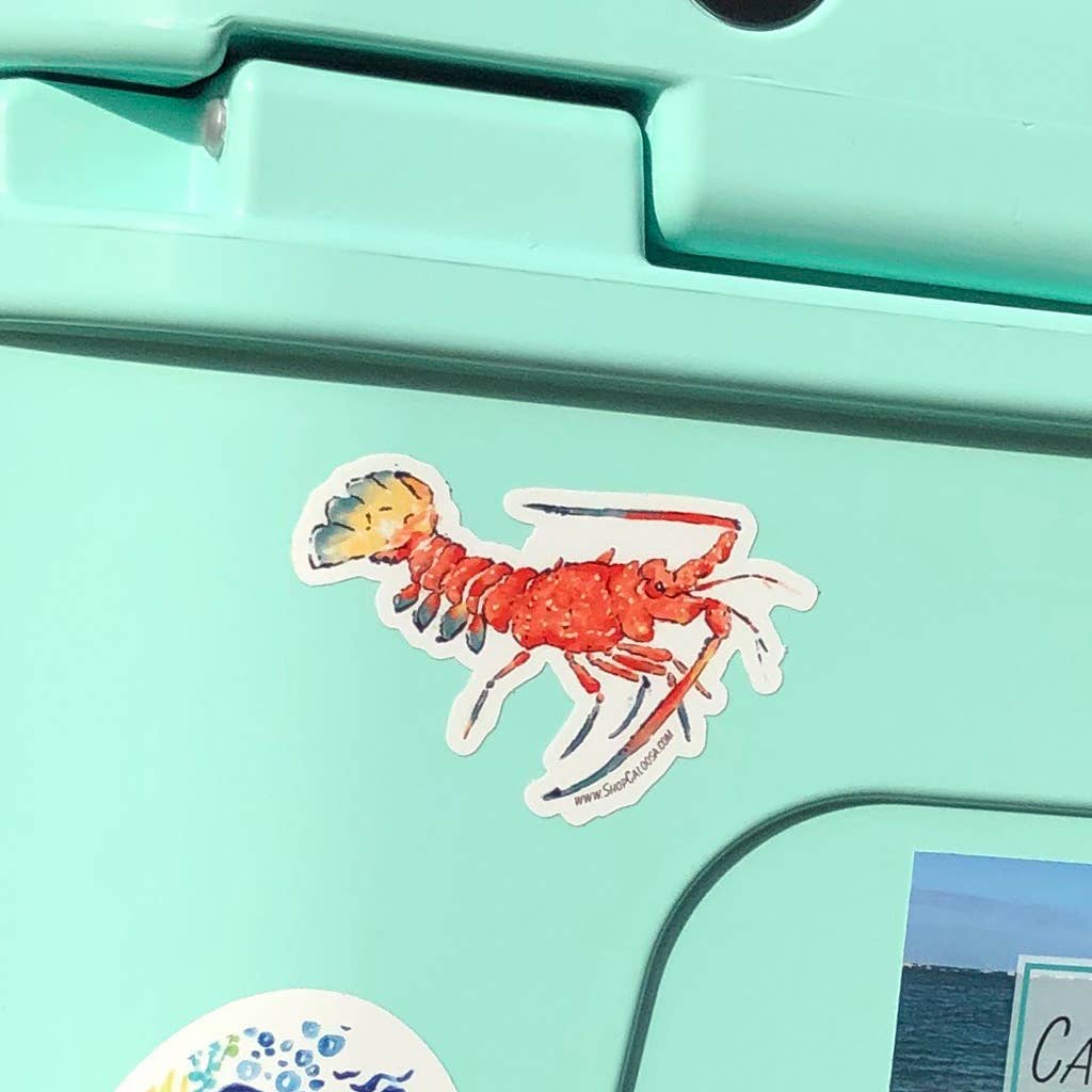 Caloosa WaterWear - Wholesale Sticker - Caloosa Vinyl Sticker 10 Packs2