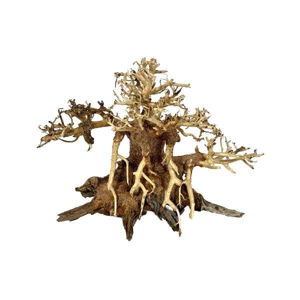 Wetplants - Wholesale Decorative Tabletop Object - Ocotopuswood Bonsai Tree Driftwood