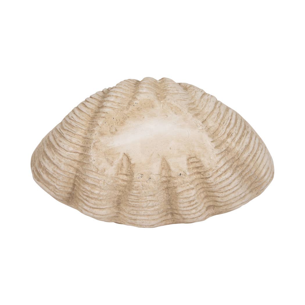 Sagebrook Home - Wholesale Decorative Plate/Dish/Bowl - Decorative Bowl - Ivory Resin Coastal Wavy Rim, 16 in.10