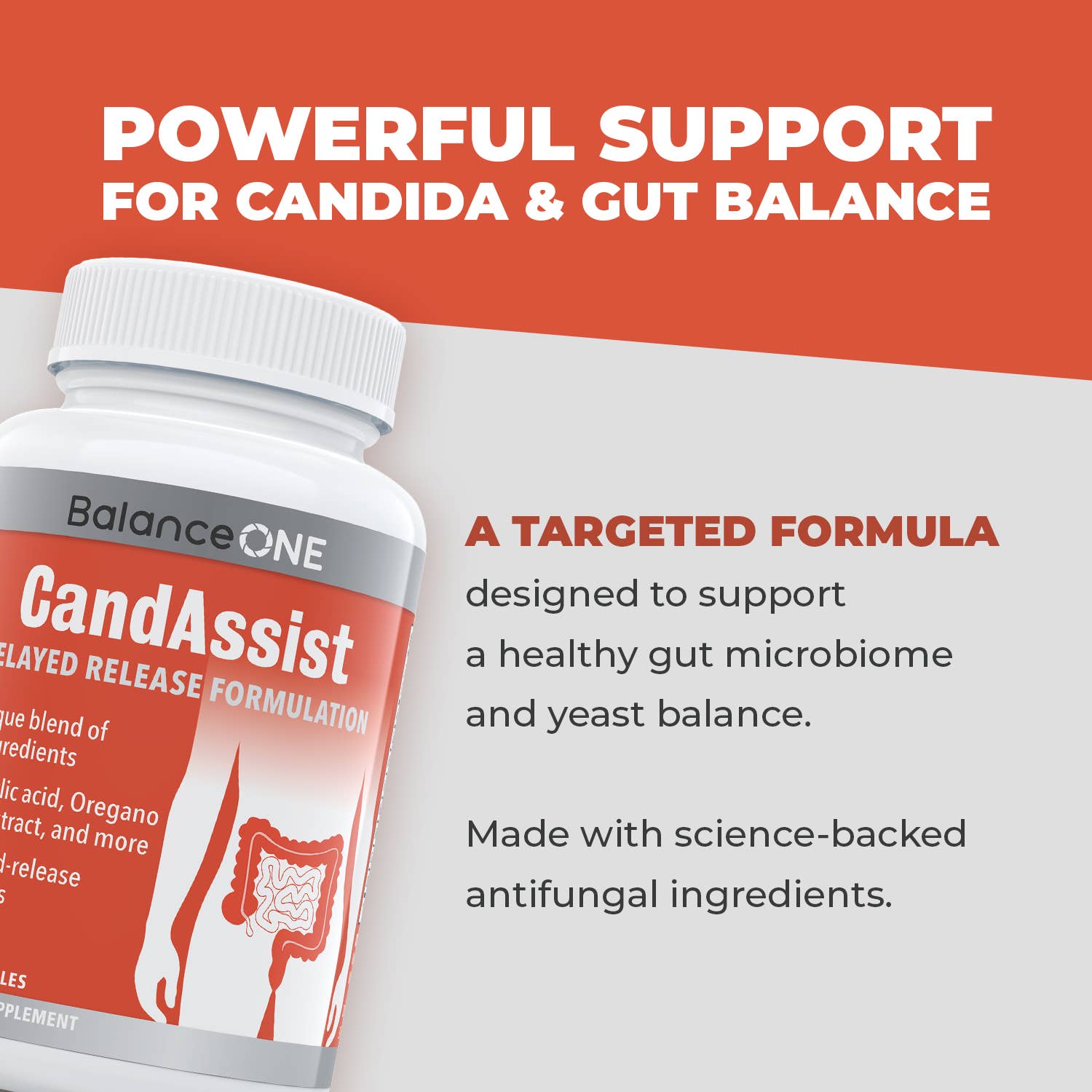 Balance One Supplements - Wholesale Oral Supplement/Vitamin - CandAssist – Natural Support for Candida Overgrowth3