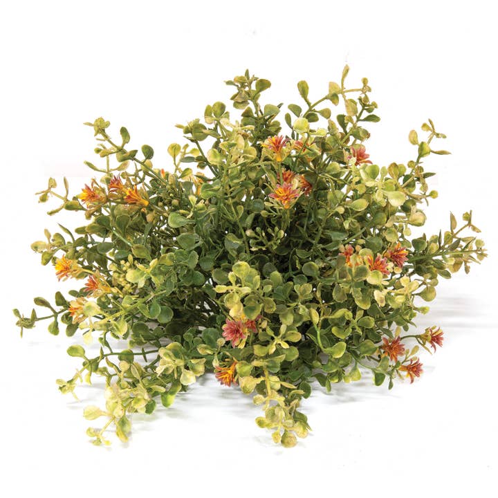 Saybrook Lane - Wholesale Artificial Plant - Golden Fall Buds & Baby's Grass Half Sphere, 10"