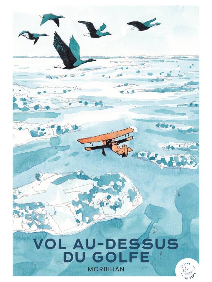 Poster - Flight over the Gulf for wholesale by freres-delacote