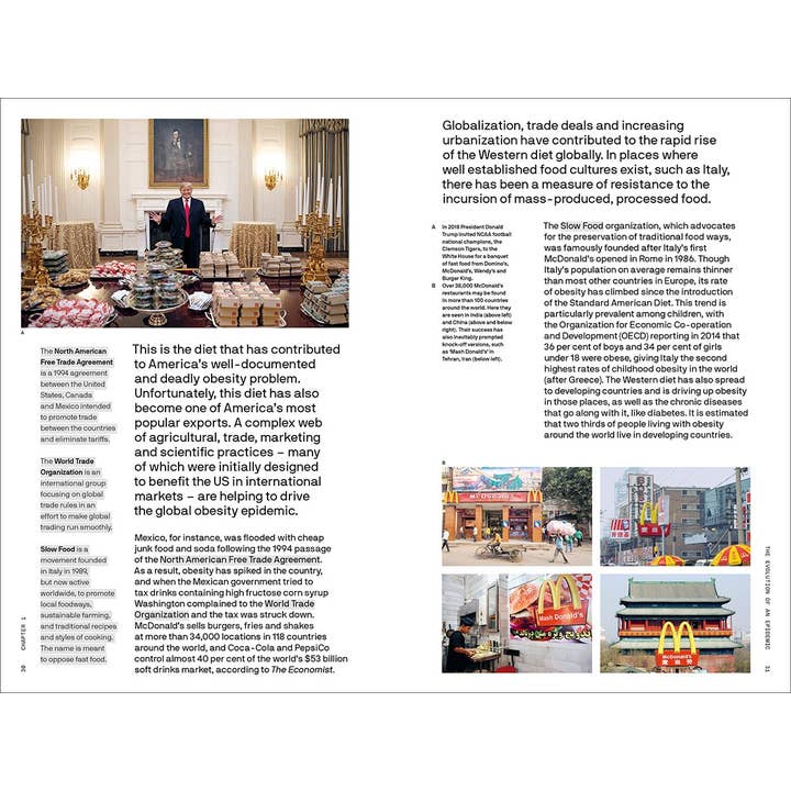 W. W. Norton - Wholesale Book - Adult - Is Our Food Killing Us? (The Big Idea Series)5